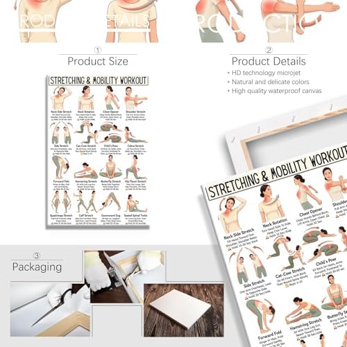 Stretching & Mobility Workout Poster, 16 Illustrated Full-Body Flexibility Training Chart with Hold Time Guides, Bodyweight Neck Hip Shoulder Stretch Reference for Post-Workout Recovery & Daily Mobility Improvement(24x36inchs，Wrapped Framed)