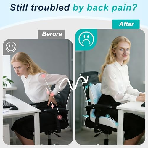 Seat Cushion for Office Chair, Ergonomic Cushion with Lumbar Support Pillow