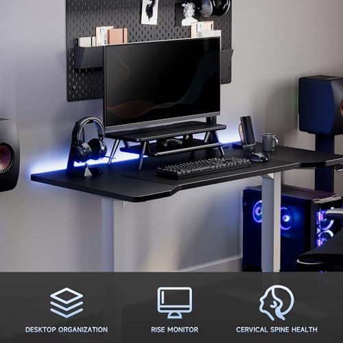 Fenge Monitor Stand Riser, Wooden Desk Shelf with 2-Tier Storage
