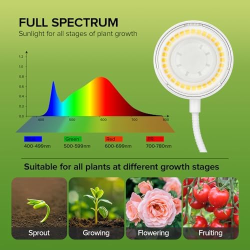 Desktop Indoor Plant Grow Light, 12W Full Spectrum,Plant lamp with 4 Dimmable & 3 Timer Modes, 360° Gooseneck Plant Lights for Office Desk Small Grow Lights for Indoor Plants(White)