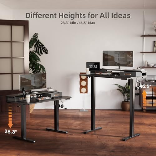 Seang 48''*24'' Electric Standing Desk with Storage, Black