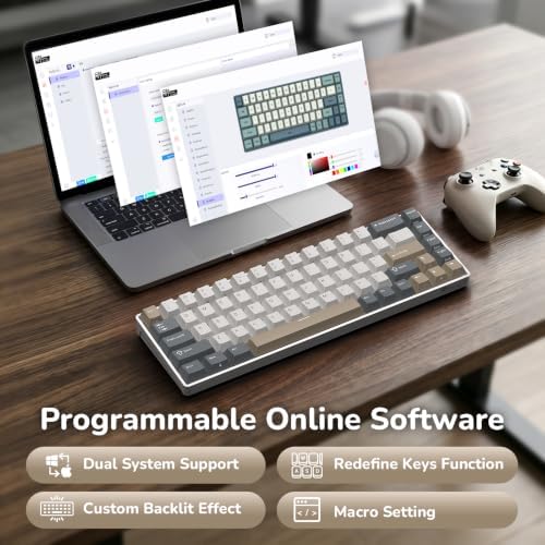RK ROYAL KLUDGE RK68 65% RGB Wireless Mechanical Keyboard for Gaming, Work