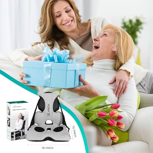 Lumbar Support Pillow Memory Foam, Car Seat Cushion, Office Chair Cushion, One Piece Chair Pad, Improve Posture, Sciatica, Hip & Back Coccyx Tailbone Pain