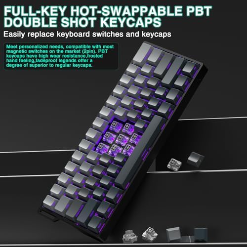 Aula WIN60 HE - 60% Mechanical Gaming Keyboard Wired, Hall Effect Magnetic Switch Hot Swappable,8000 Hz Polling Rate, RGB Keyboard 60 Percent Compact Design for PC (Gradient Gray)