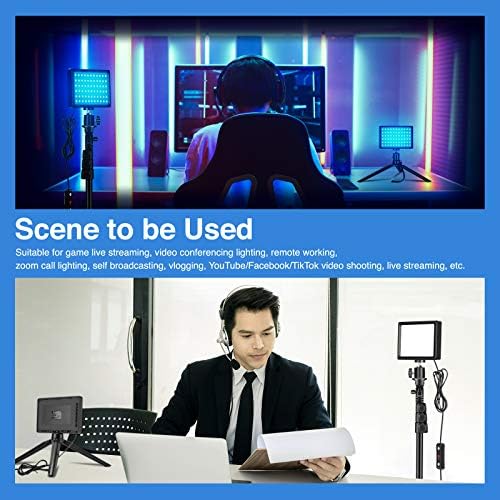 Neewer Dimmable 5600K USB LED Video Light with Pro Adjustable Tripod Stand and Color Filters, 2-Pack for Tabletop/Low-Angle Shooting, Zoom/Video Conference Lighting/Gaming/YouTube Video/Photography