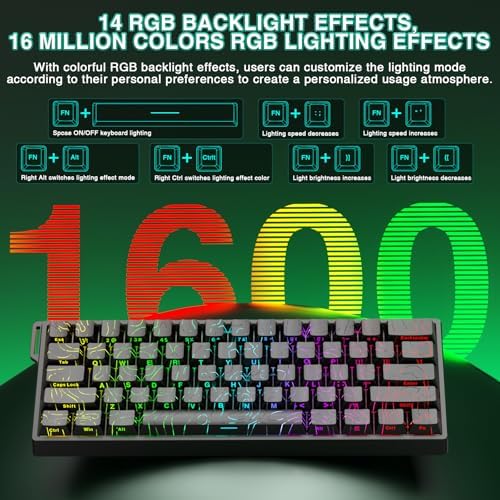 Aula WIN60 HE - 60% Mechanical Gaming Keyboard Wired, Hall Effect Magnetic Switch Hot Swappable, Adjustable Actuation RT Mode, 8000 Hz Polling Rate, RGB Keyboard 60 Percent Compact Design for PC