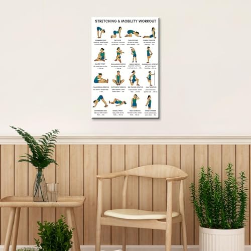 Stretching & Mobility Workout Poster, 16 Illustrated Full-Body Flexibility Chart with Hold Timing Guides, Bodyweight Daily Stretch Reference for Post-Workout Recovery & Joint Mobility Improvement(8x12inchs，Wrapped Framed)