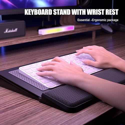 Computer Keyboard Stand with Wrist Rest & Storage Tray - Acrylic Keyboard Riser for Office Desk Accessories Decor, Ergonomic Keyboard Holder for Home Comfortable Typing - Fits All Keyboard Sizes