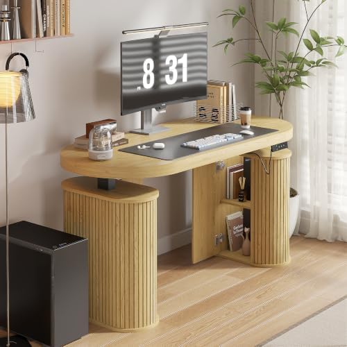 Electric Standing Desk with Storage, 55" Mid Century Modern Sit Stand Desk