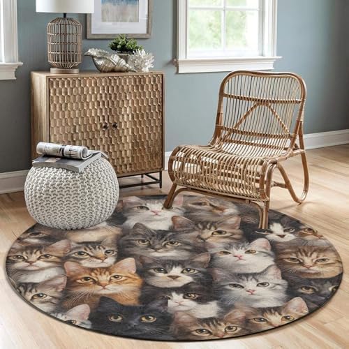 Large Machine Washable Circular Rugs, Home Decor Round Mat for Living Room Sofa Office Cute Cats