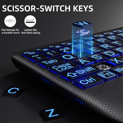 Hamile Large Print Wireless Backlit Keyboard for Windows, Black