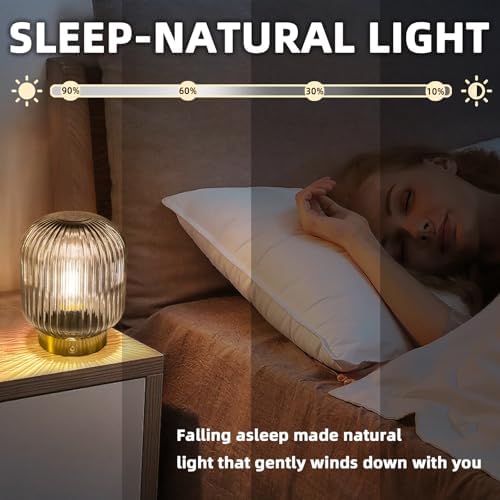 MJ PREMIER Rechargeable Table Lamp, Cordless Lamp with Memory Function,Gray