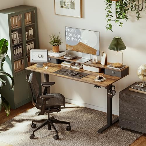 Agilestic 48 x 24 Inches Electric Standing Desk with 2 Storage Drawers, Adjustable Height Sit and Stand Computer Table with Splice Board, Rustic Brown