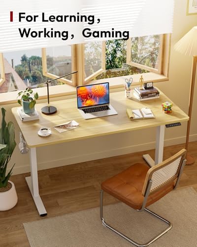 SANODESK One-Piece 1'' Thick Height Adjustable Standing Desk 60''x24''