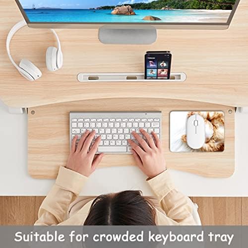 Dapesuom Small Mouse Pad, 6 x 8 Inch Thick Rubber Premium-Textured Non-Slip Portable & Washable Mini Mouse Mat for Women Men Wireless Laptops Keyboard Tray Gaming Work Computer Office Travel, Cute Cat