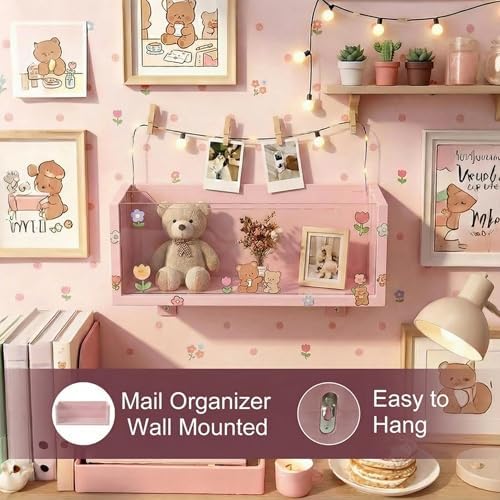 Pink Mail Organizer for Desk, Acrylic Letter Holder with Adjustable Divider