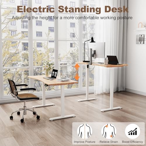 Solid Wood Electric Standing Desk, 55"x23.6" Oak Standing Desk