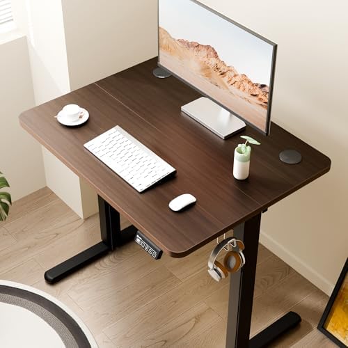 Small Standing Desk, 32"x24" Height Adjustable Sit-Stand Office, Walnut
