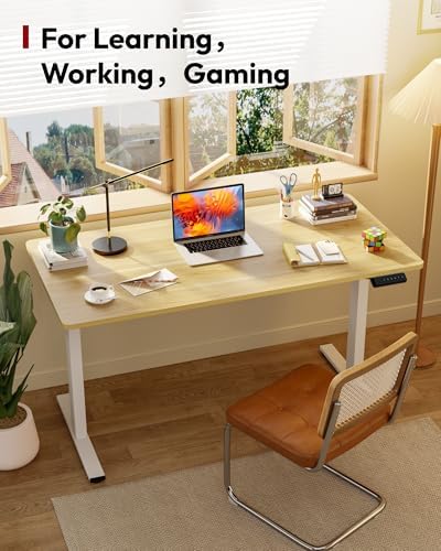 SANODESK One-Piece Electric Height Adjustable Standing Desk 40''x 24''