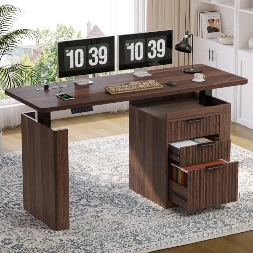 ONBRILL 55" Electric Standing Desk with File Cabinet & Storage, Walnut