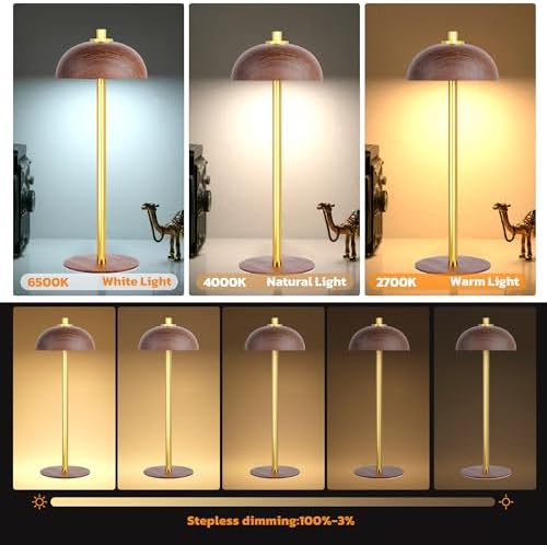 2 Pack Cordless Table Lamp Rechargeable, 5000mAh Battery Table Light