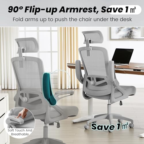 Fizzin Gray Office Chair, Mesh Desk Chair with Adjustable Lumbar Support