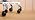 Lifelong Ball Office Chair Wheels Replacement, Heavy Duty, 5-Pack Fits 98%