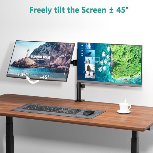 WALI Articulating Dual Monitor Stand for 13-27 inch Screens, 22 lbs per Arm