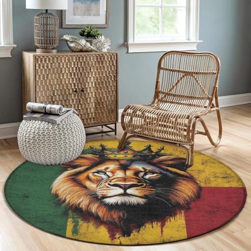Large Round Area Rug Home Decor Modern Bathroom Rug Kitchen Office Circle Rug for Living Room Sofa Circle Cute Mat Rasta Flag Lion Splatter Painting, 24inch