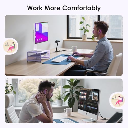 ECOLOVI 2-Tier Computer Monitor Stand Riser, Printer & Laptop Stand, Office Desk Accessories, Workspace Desk Organizer for Home Office Supplies, Purple