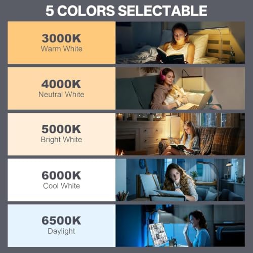 Kary LED Desk Lamp for Home Office, Flexible Gooseneck Task Light Tall 12W