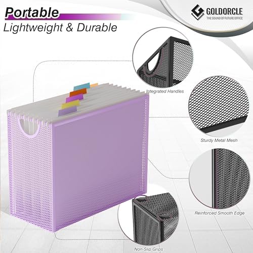 Letter-Size Hanging File Organizer (Purple, with 5 Grey Folders)