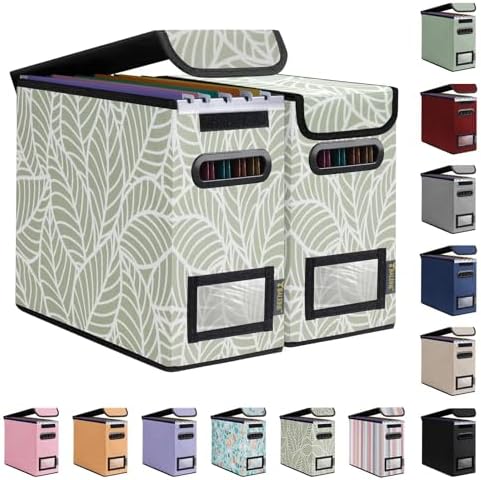 BALEINE File Organizer Box with Lid, Collapsible Hanging File Storage Box