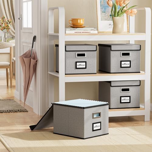 File Organizer Box with Lids, Collapsible File Folder Organizer