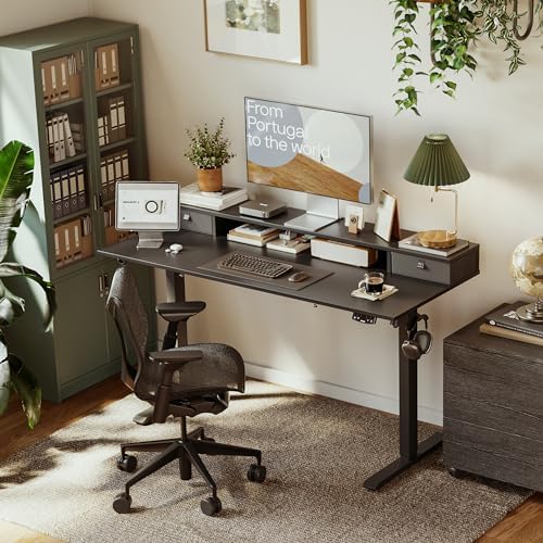 Agilestic 48 x 24 Inches Electric Standing Desk with 2 Storage Drawers, Adjustable Height Sit and Stand Computer Table with Splice Board, Black