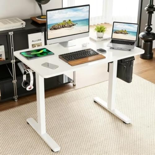 48"x24" Electric Standing Desk, Height Adjustable Desk