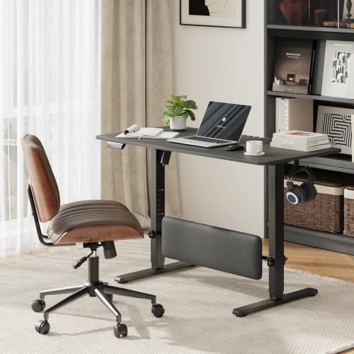 MALOL 47" x 24" Height Adjustable Electric Standing Desk, Black