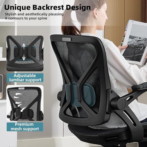 Ergonomic Office Chair, Computer Desk Chair with Lumbar,Black