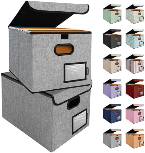 BALEINE File Organizer Box with Lid, Collapsible Hanging File Storage Box