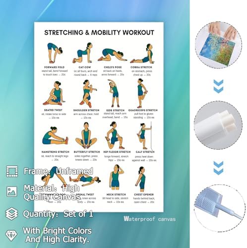 Stretching & Mobility Workout Poster, 16 Illustrated Full-Body Flexibility Chart with Hold Timing Guides, Bodyweight Daily Stretch Reference for Post-Workout Recovery & Joint Mobility Improvement(8x12inchs，Unframed)