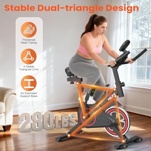 RELIFE REBUILD YOUR LIFE Exercise Bike, Friction Stationary Bike for Home