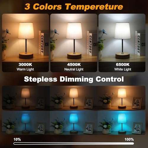 Ascher Small Bedside Table lamp Set of 2, RGB Color Changing Lamps, 3 Color Temperatures, Stepless Dimmable, Nightstand Lamp with USB C+A Ports for Bedroom Living Room, (Grey Shade, Wood Grain Base)