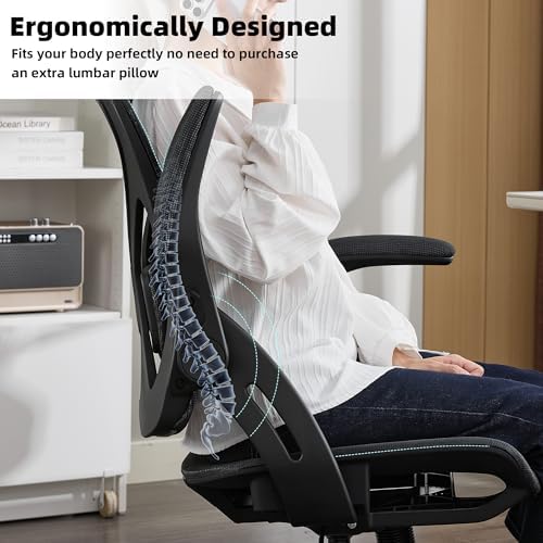 Ergonomic Office Chair, Computer Desk Chair with Lumbar,Black