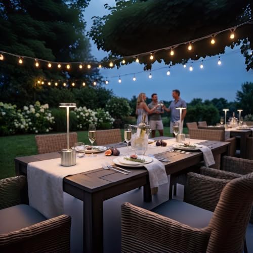 Silver Cordless Table Lamp 2Pack Rechargeable Portable Table Light