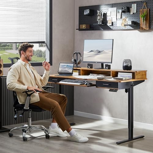 WALKINGDESK 63x24 Inches Electric Standing Desk with Keyboard Tray, Height Adjustable Stand up Desk with 2 Drawers, Ergonomic Sit to Stand Desk with Storage Monitor Stand, Computer Table, Rustic Brown