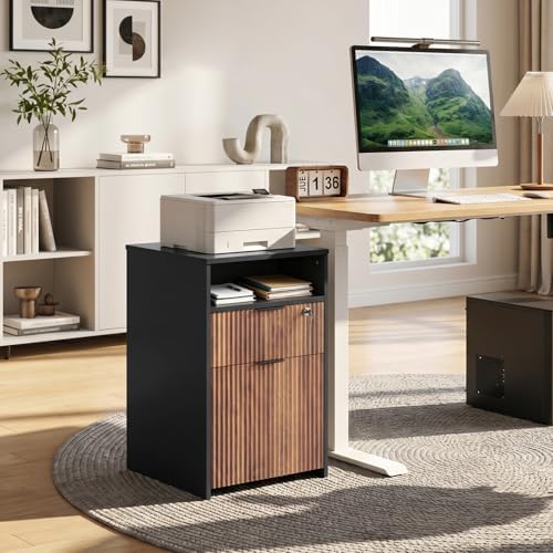 CHOEZON 2 Drawers File Cabinet with Open Storage, Black and Dark Walnut
