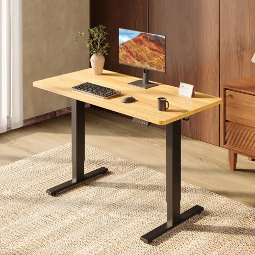 SANODESK One-Piece 48 x 24'' Electric Height Adjustable Standing Desk
