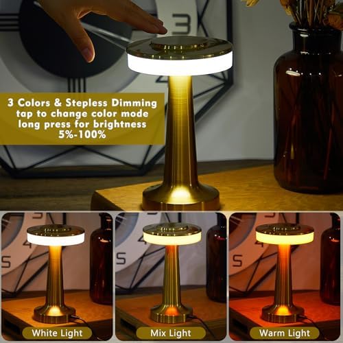 Riakrum 2 Pcs LED Cordless Table Lamp Bulk Rechargeable,Gold