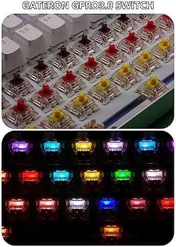 Gateron 70Pcs Pre lubed G pro V3.0 MX Mechanical Gaming Keyboard Split Tactile 55gf Switches,POM Stem Linear RGB SMD Switches 3 pin (Brown)