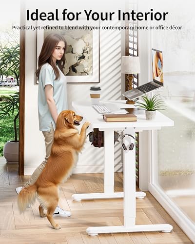 BIZUM Standing Desk Electric Adjustable Computer Desk-Stand up Desk Office Gaming Home Office Memory Desks 48x24 inches White